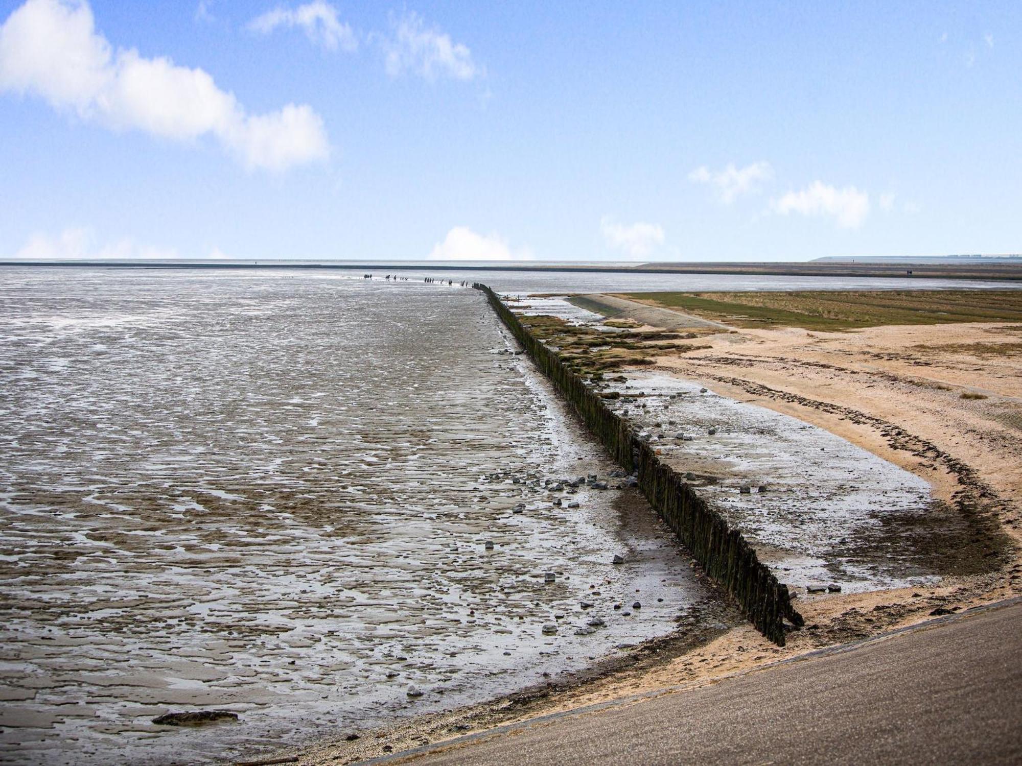 Fantastic Luxury Vacation Home And Next To The Wadden Sea Paesens Eksteriør bilde