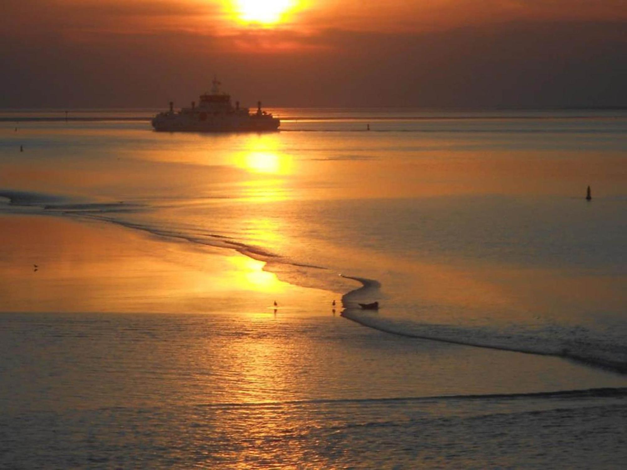 Fantastic Luxury Vacation Home And Next To The Wadden Sea Paesens Eksteriør bilde